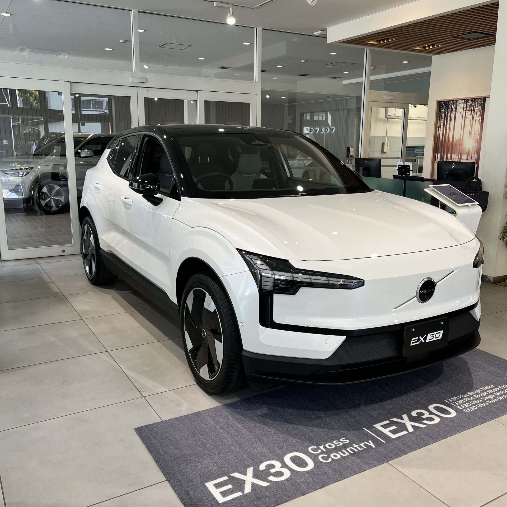 EX30 Ultra Single Motor Extended Range