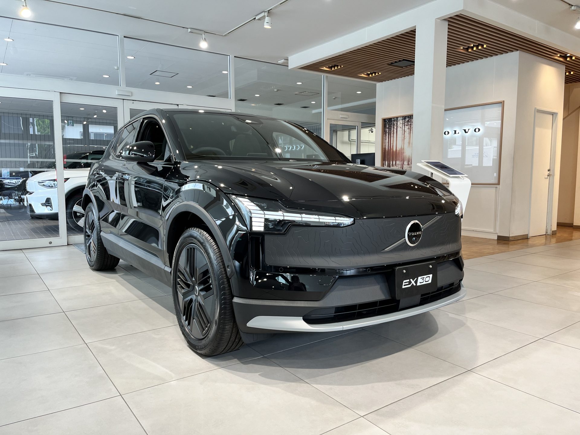 EX30 Cross Country Ultra Twin Motor Performance